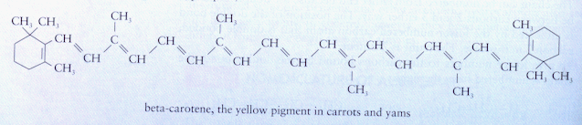 caroten1.gif (45791 bytes)