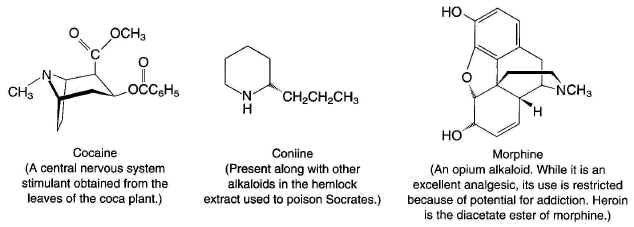 wpe1.jpg (94820 bytes)