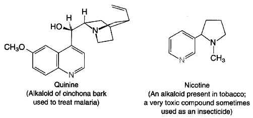 wpe2.jpg (53874 bytes)