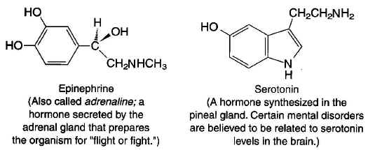 wpe3.jpg (63718 bytes)