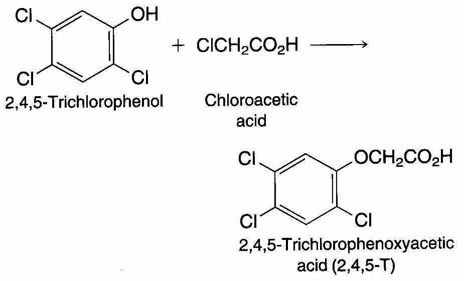 wpe1.jpg (38481 bytes)