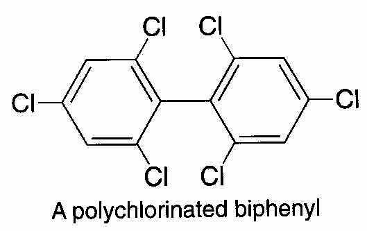 wpe3.jpg (16309 bytes)