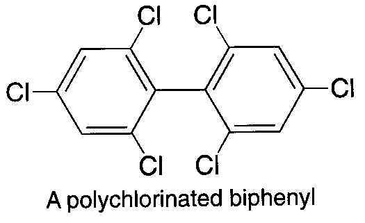 wpe3.jpg (16111 bytes)