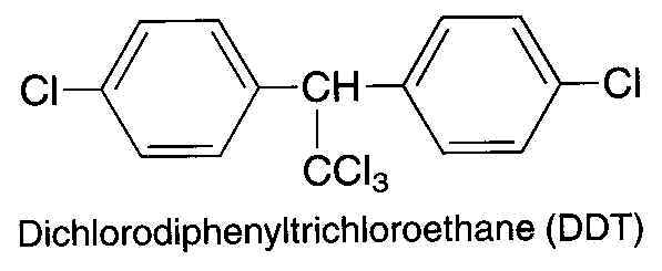 wpe4.jpg (16574 bytes)