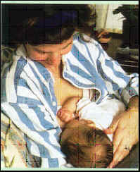 wpe6.jpg (10456 bytes)