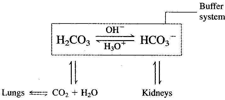 wpe7.jpg (19919 bytes)