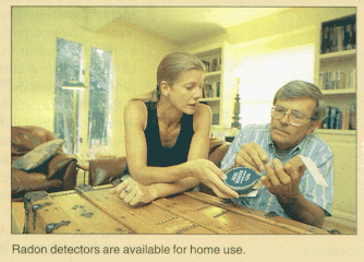 radon.gif (62961 bytes)