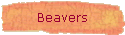 Beavers