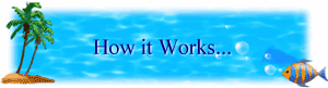 How it Works