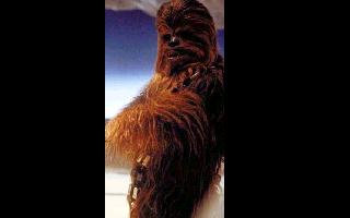 Chewbacca