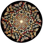 al_Escher02_Circle_Limit_with_Butterflies.jpg