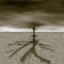 Is the tree moving or the sky?