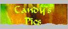 candy.jpg (2326 bytes)