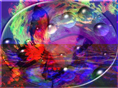 butterfly.jpg (33680 bytes)