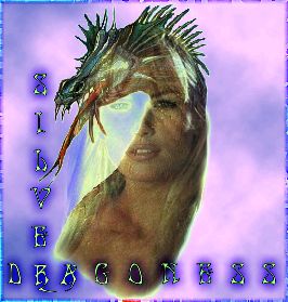 sd.jpg (20862 bytes)