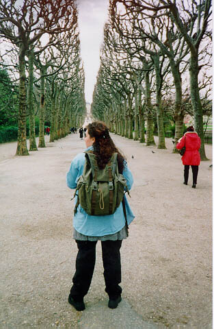 Where are those trees growing from? Or are they antlers?