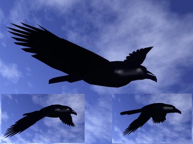 Crows