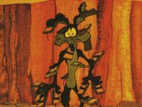 wile e coyote covered with mousetraps