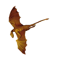 flbronze02.gif (5126 bytes)