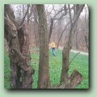 [Click to enlarge image]