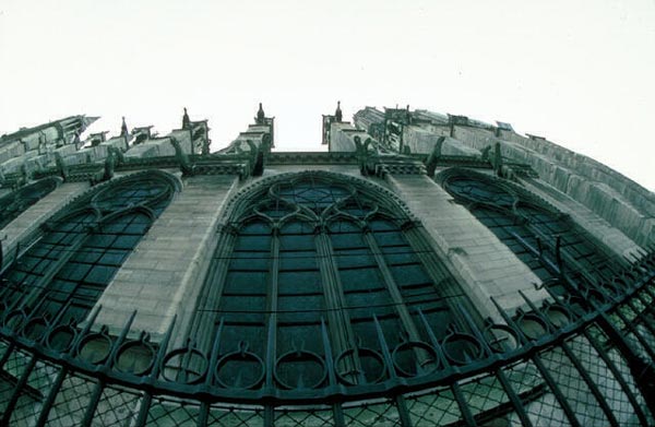 Looking up at Notre Dame