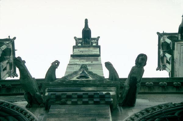 Gargoyles of Notre Dame