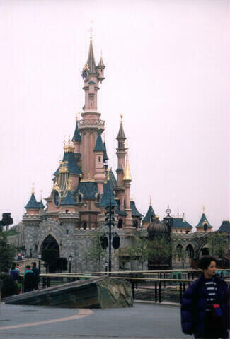 Sleeping Beauty's Castle