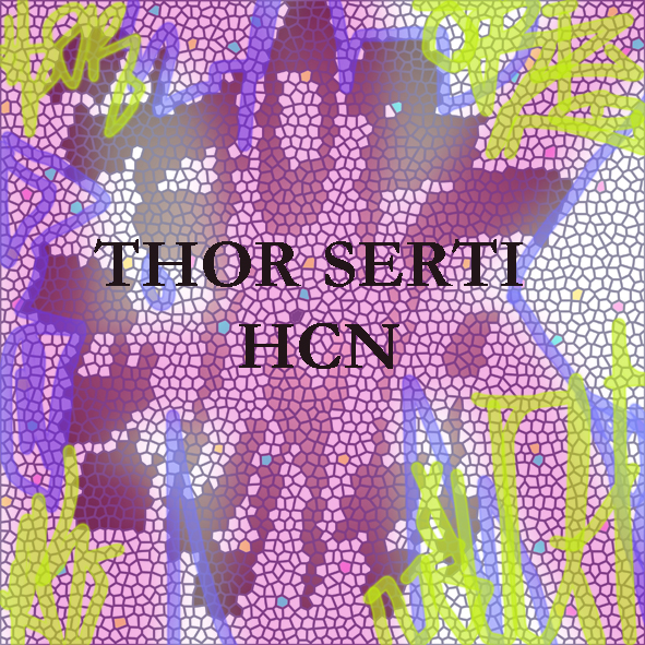 thor copy.jpg (470587 octets)