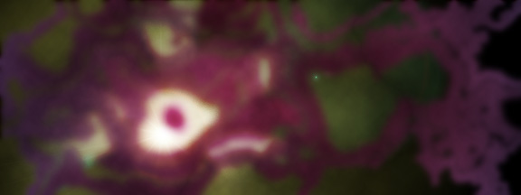 [A large nebula, with a star inside...]