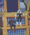 Spiderman and Black Cat