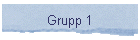 Grupp 1