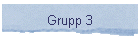 Grupp 3