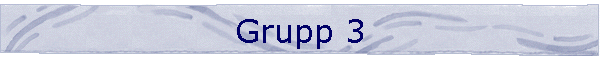 Grupp 3