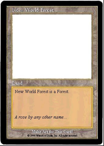 New World Forest: a Forest