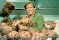 Tribbles...