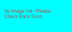  No Image Yet - Please Check Back Soon