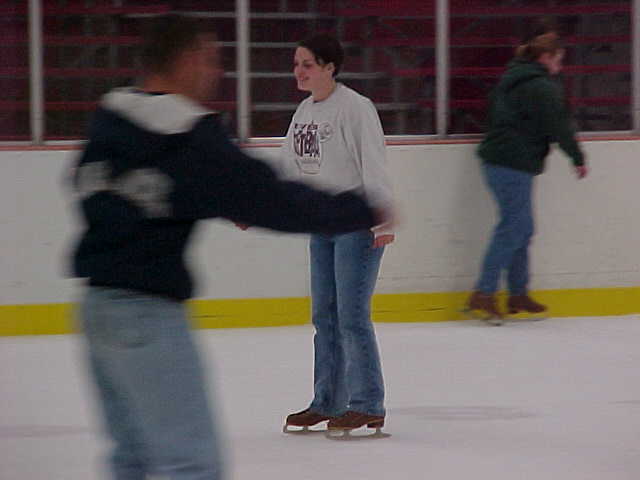 ivc-009s.jpg (19545 bytes)