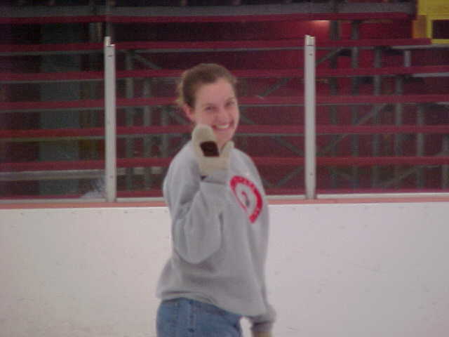 ivc-011s.jpg (18712 bytes)