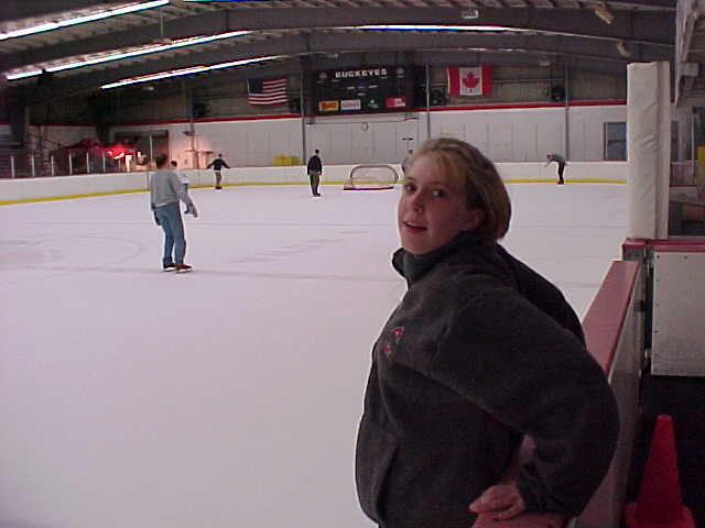 ivc-016s.jpg (26366 bytes)