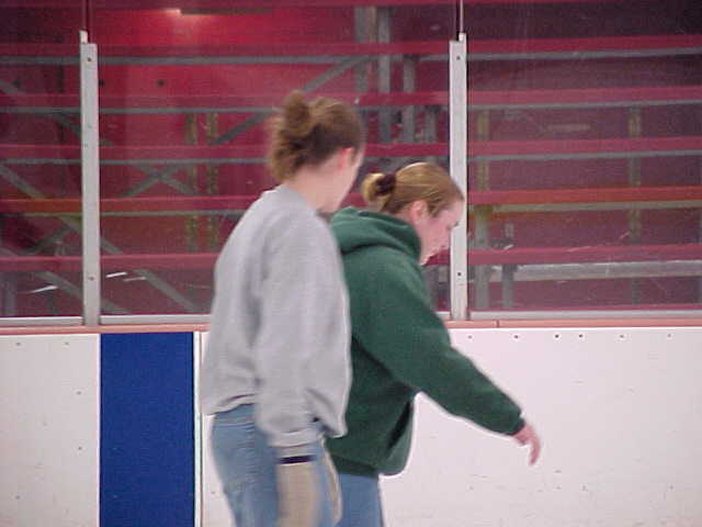 ivc-019s.jpg (24693 bytes)