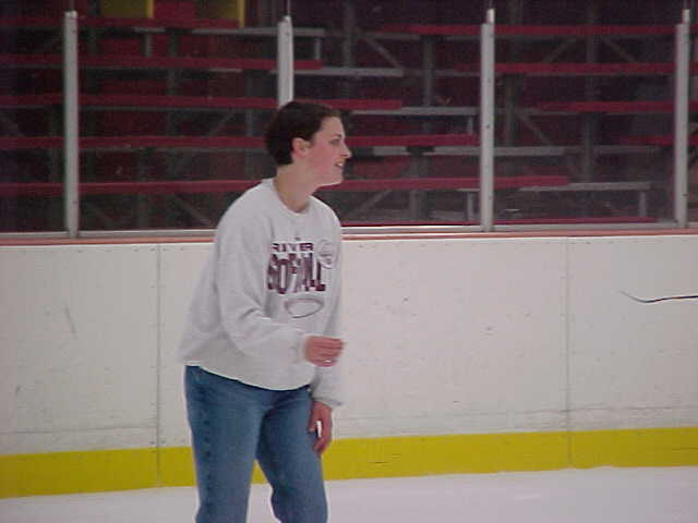 ivc-045s.jpg (20891 bytes)