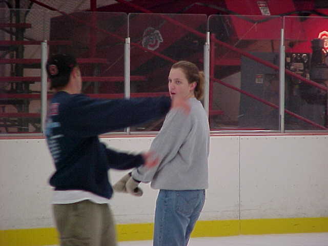 ivc-049s.jpg (24023 bytes)