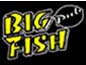 Big Fish Pub