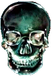 grnSkull.gif - 14149 Bytes