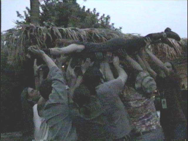 stagedive.jpg - 36490 Bytes