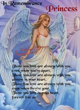 In Remembrance of Princess