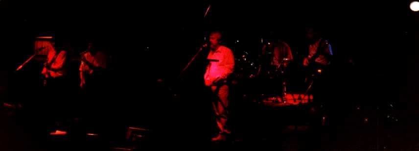 rab5_2.JPG (8056 bytes)