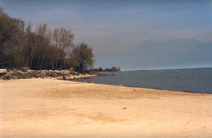 LakeMichiganWestBeach