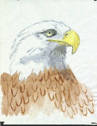 eagle.jpg (15074 bytes)