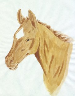 foal.jpg (12666 bytes)